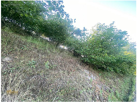 FATSA ILICA KAYAKÖY MAH. YOL ÜZERİ ANA YOLA CEPHE SATILIK ARAZİ